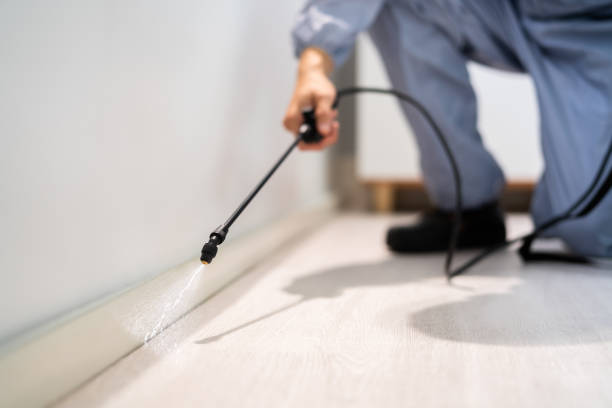 Licensed Exterminator service in West University Place, TX - Show Me Pest Control